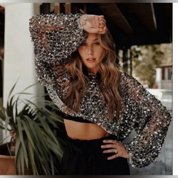 Zara limited mesh sequin sweater NWT size small - Picture 1 of 8